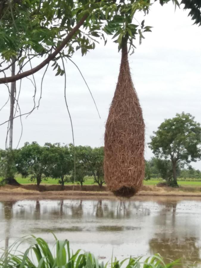 Raina-Suanpa Lung Sood Farmstay Suphan Buri Exterior photo