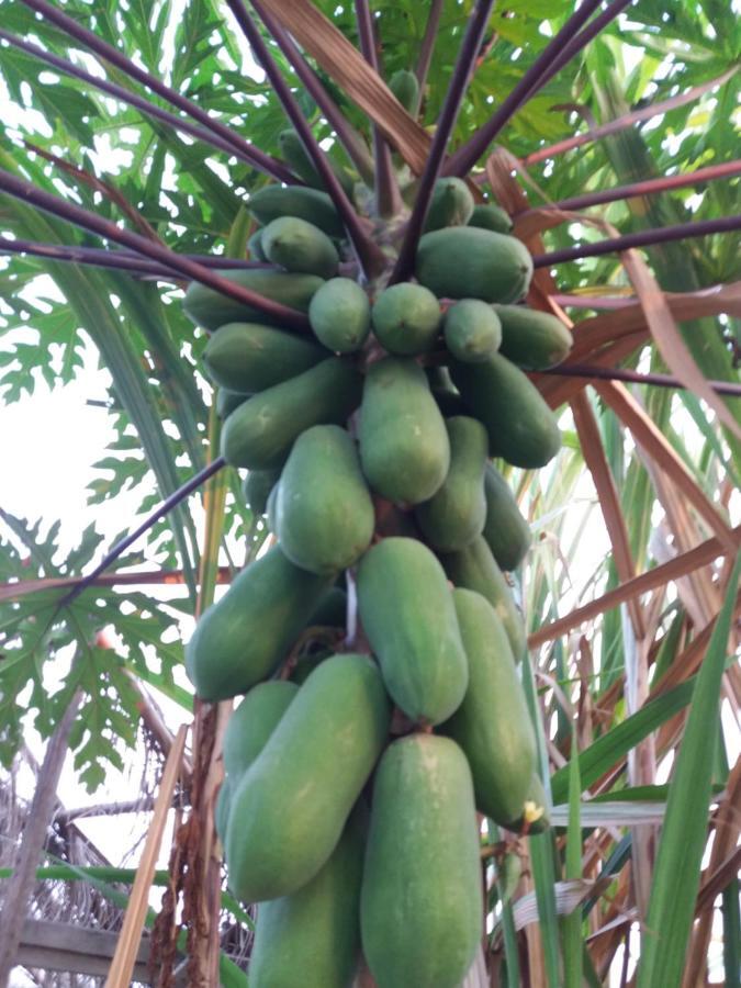 Raina-Suanpa Lung Sood Farmstay Suphan Buri Exterior photo